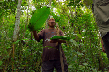 Maleku Indigenous Reserve 